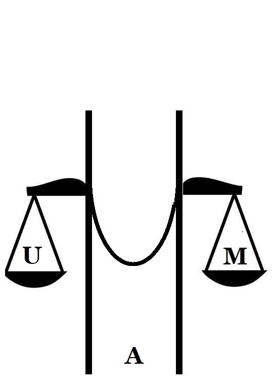 Historia del Derecho